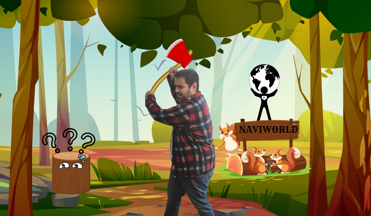 Explorando las Maravillas de las Conexiones API en Microsoft Business Centra