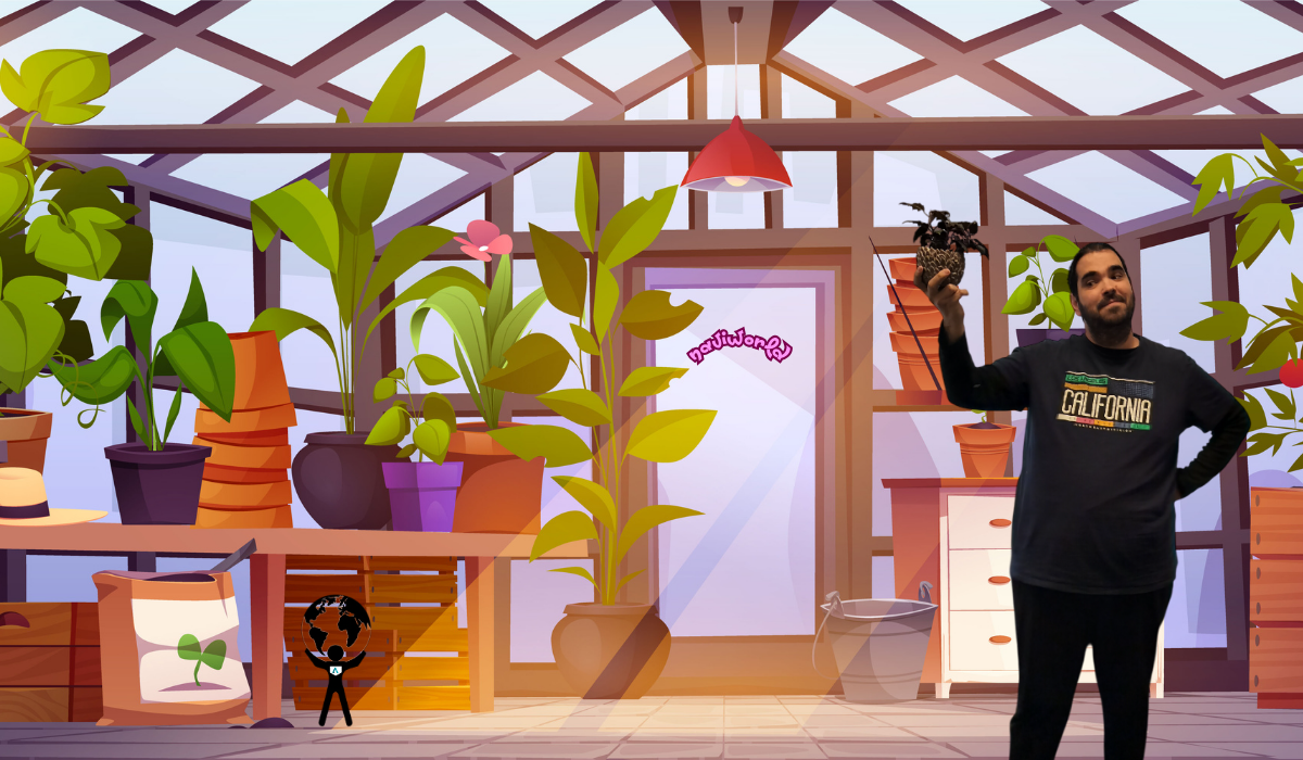 Dominando las Vistas en Business Central: Creación y Personalización